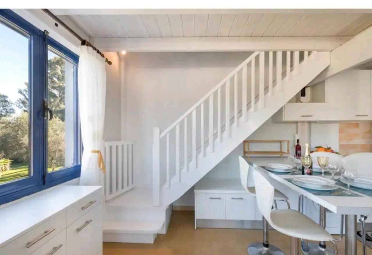 Govino Bay Luxury Loft * Danilia
